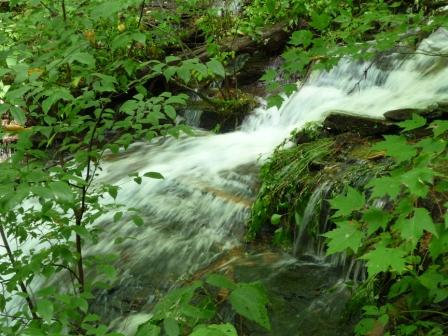 Twin Falls along Avery Creek Trail