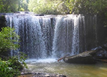 Middle falls on Brasstown Creek