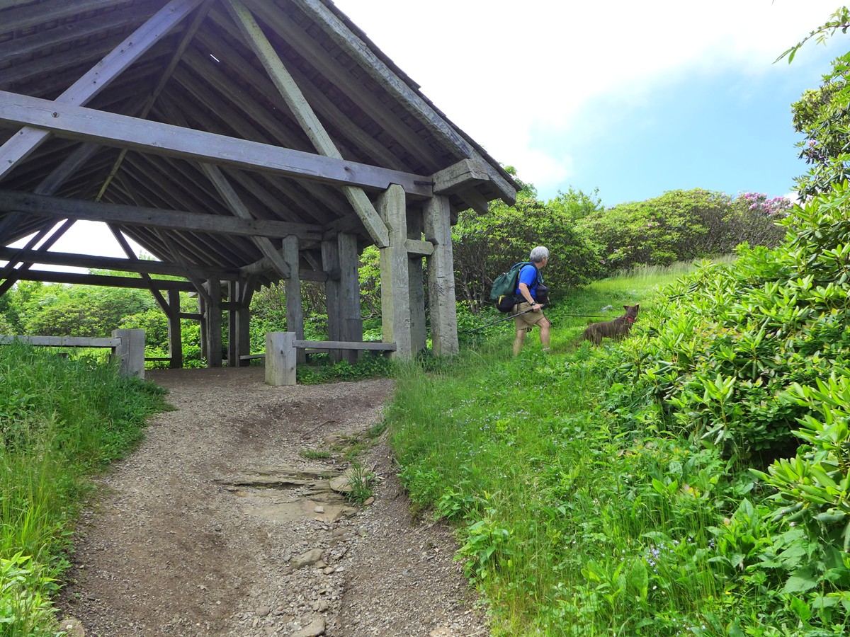 Mountains To Sea Trail From Craggy Gardens To Balsam Gap Includes