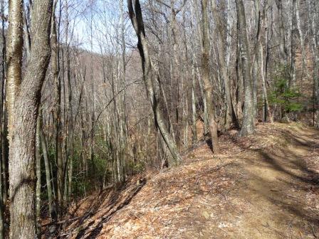 Mid Section of Lower East Fork Trail
