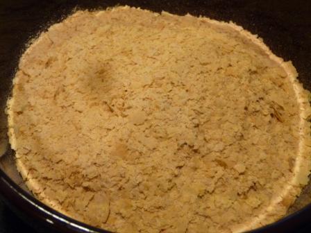 Nutritional yeast (brewer's yeast) up close