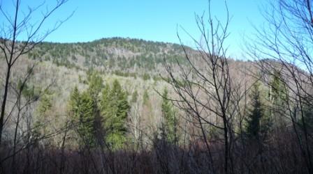 Panorama of Fork Ridge
