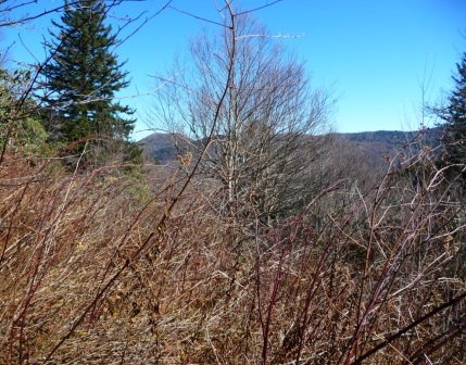 View of Sam's Knob and surrounding area