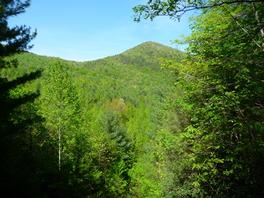 View of Pinnacle Mountain as seen from the Palmetto Trail