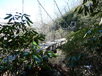 Bridge over Raven Cliff Falls