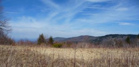 View from the meadow near the southeastern terminus of Fork Mountain