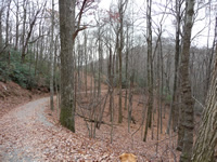 Raven Cliff Trail
