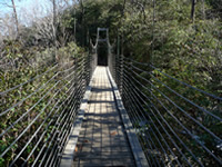 Swinging Bridge Directly over Raven Cliff Falls