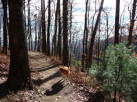 Raven Cliff Trail along the Blue Ridge Escarpment