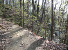 Trail with nearby boulders